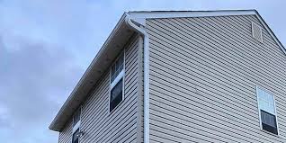 Best Custom Trim and Detailing for Siding  in Eaton Rapids, MI